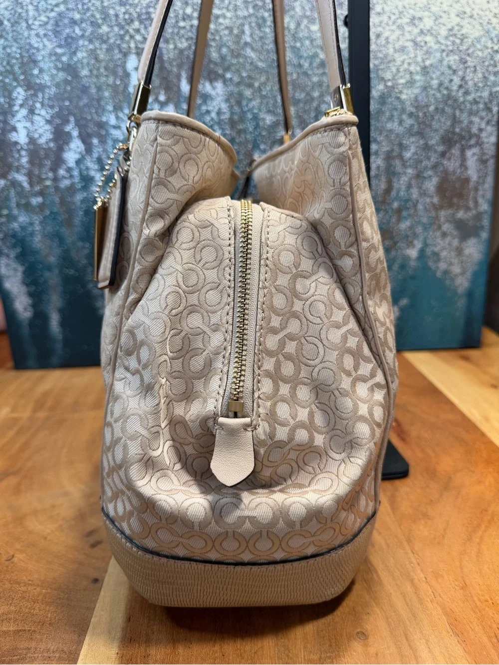 Coach 2013 Soft Glam Op Art Pearlescent Carryall Bag EUC